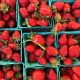 Seasonal Spotlight: Strawberries
