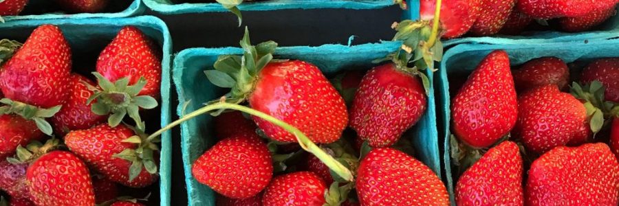Seasonal Spotlight: Strawberries